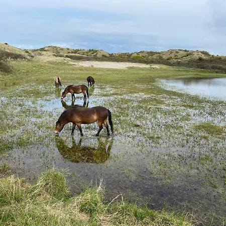 Eb 公寓 海边的艾格蒙特