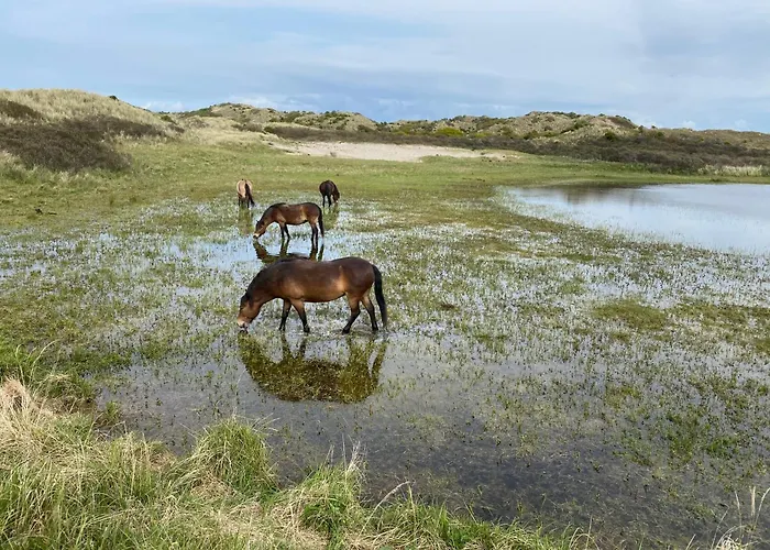 Eb شقة إغموند آن زي